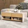 Tangkula Home Coffee Table W/ 2 Drawers & 2 Storage Shelf Rectangle Table Cocktail Table